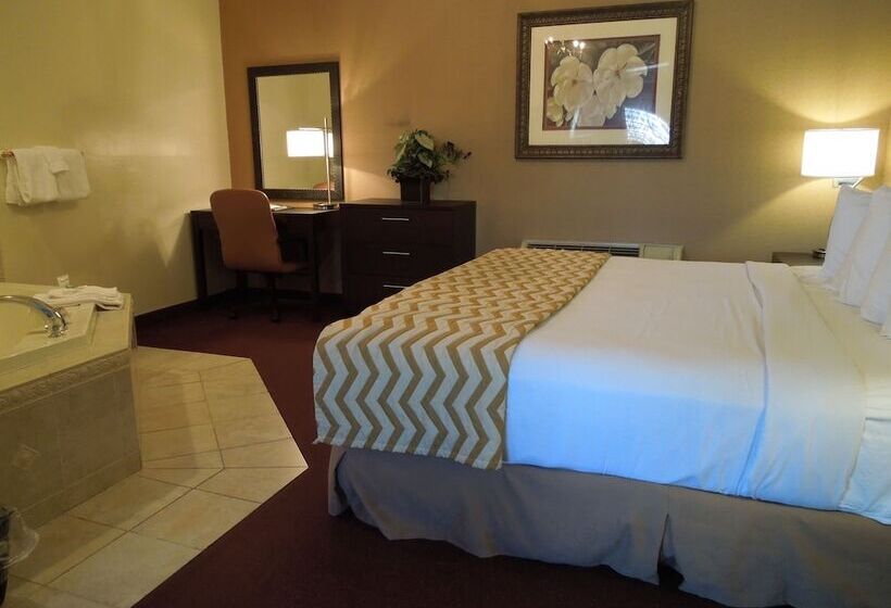 Hotel Super 8 By Wyndham Albany