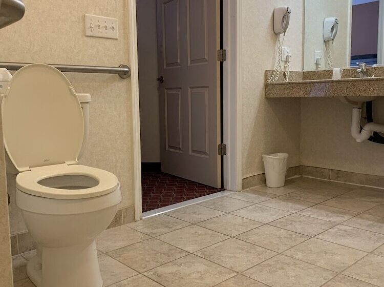 Hotel Super 8 By Wyndham Albany