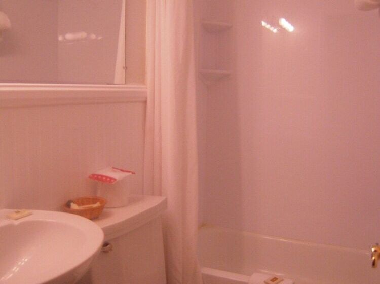 Hotel Super 8 By Wyndham Albany