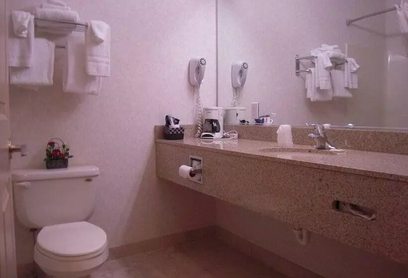 호텔 Super 8 By Wyndham Albany