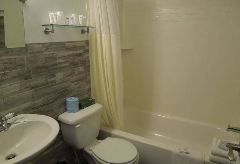 Hotel Super 8 By Wyndham Albany