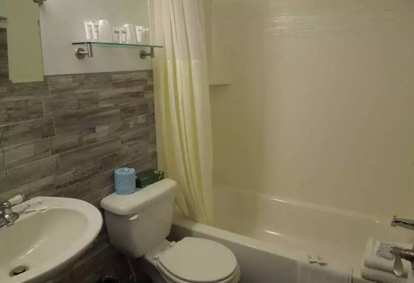 호텔 Super 8 By Wyndham Albany