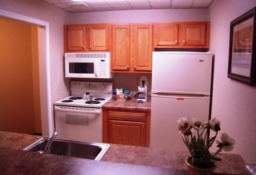 Hotel Super 8 By Wyndham Albany