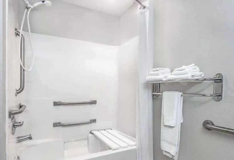 Microtel Inn & Suites By Wyndham Bremen