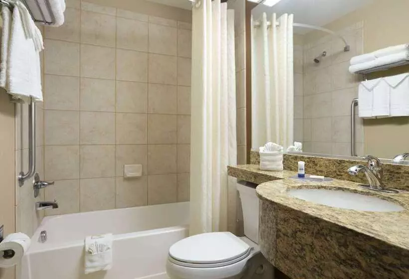 Microtel Inn & Suites By Wyndham Odessa Tx