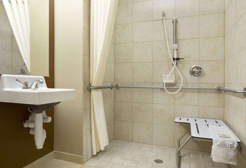 Microtel Inn & Suites By Wyndham Odessa Tx