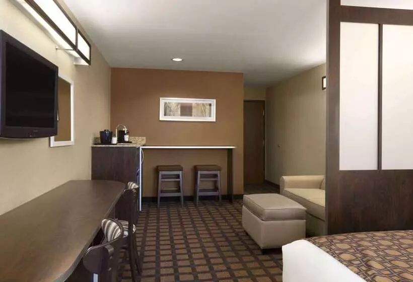 Microtel Inn & Suites By Wyndham Odessa Tx