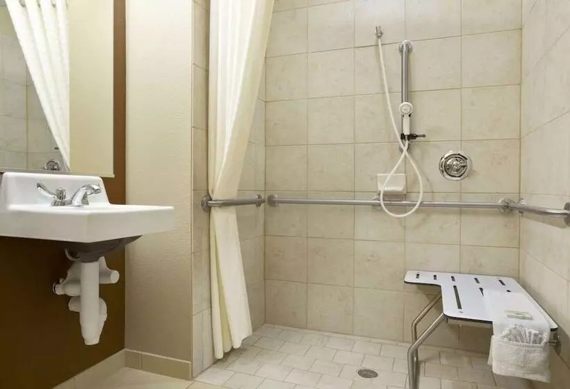 Microtel Inn & Suites By Wyndham Odessa Tx