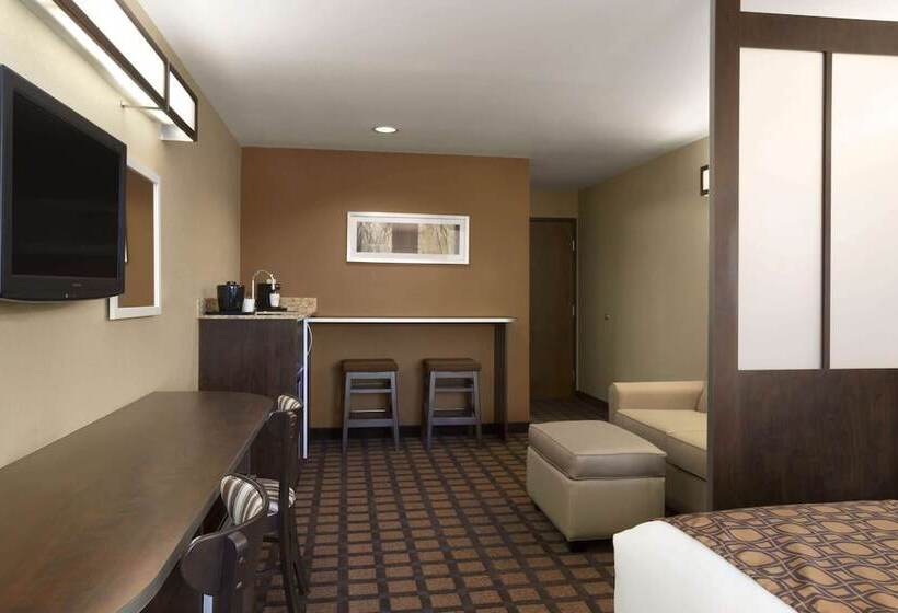 Microtel Inn & Suites By Wyndham Odessa Tx