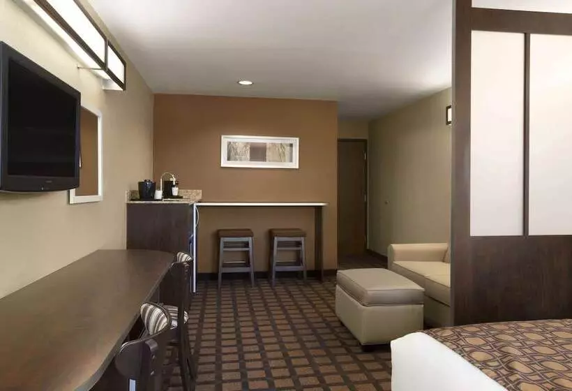 Microtel Inn & Suites By Wyndham Odessa Tx