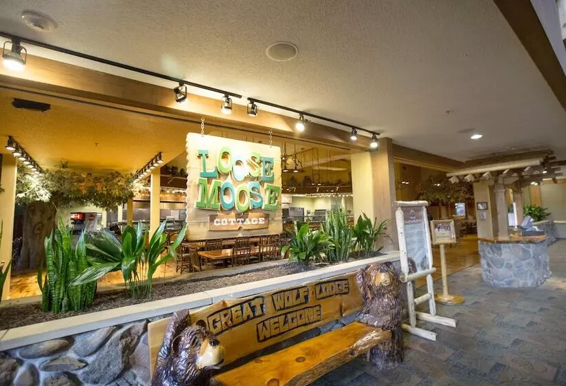 Курорт Great Wolf Lodge Mason