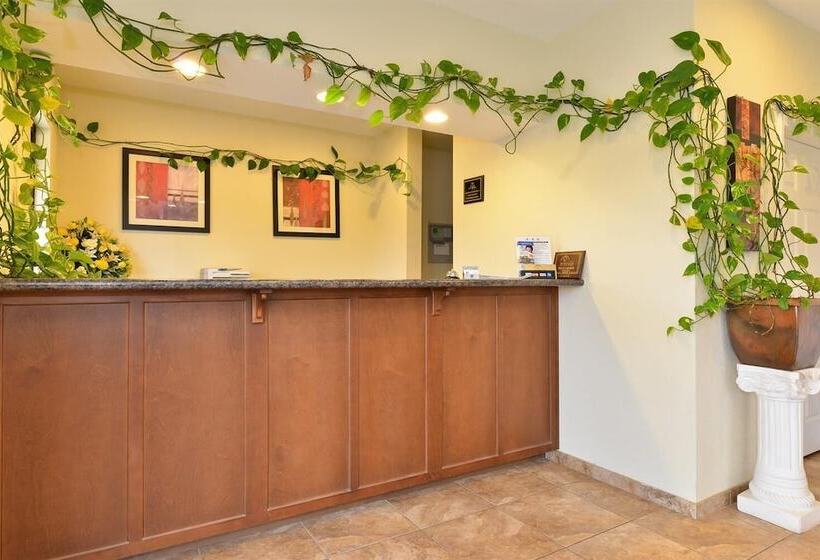 ホテル Americas Best Value Inn Byhalia