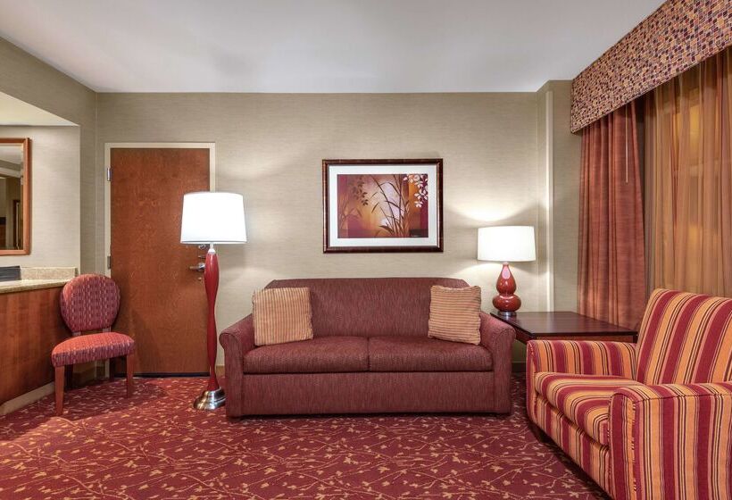 Отель Embassy Suites By Hilton Loveland Conference Center