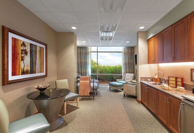 Отель Embassy Suites By Hilton Loveland Conference Center