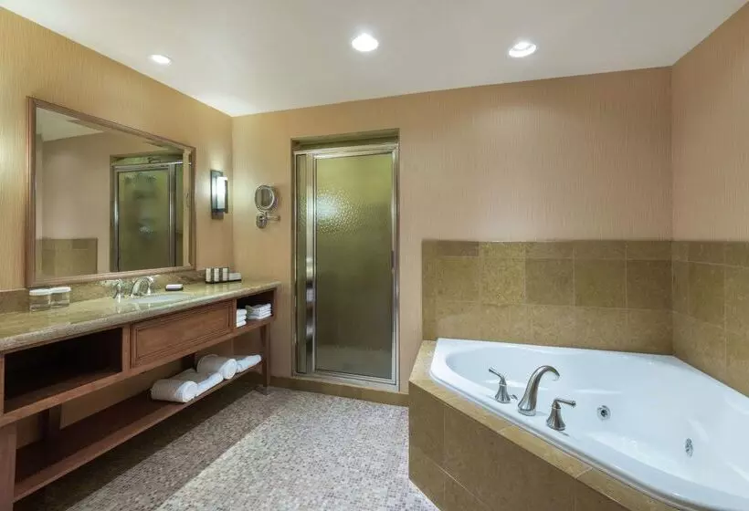 هتل Embassy Suites By Hilton Loveland Conference Center