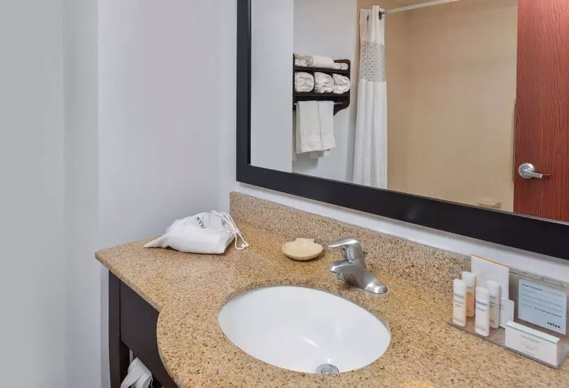 호텔 Hampton Inn Gonzales