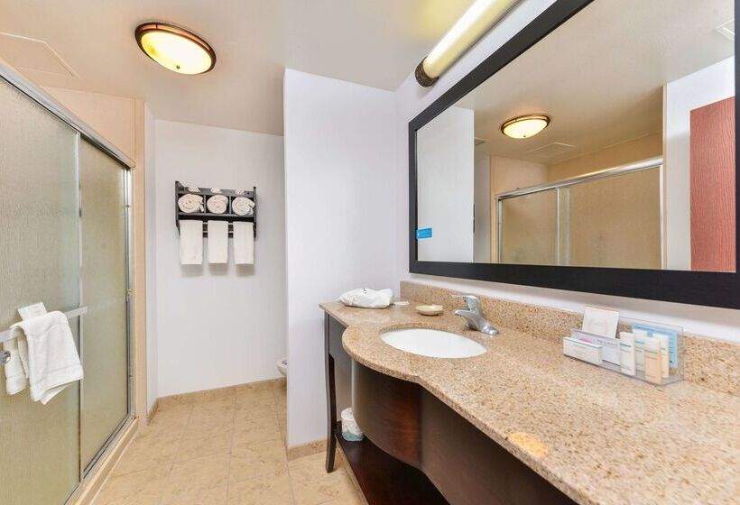 ホテル Hampton Inn Gonzales