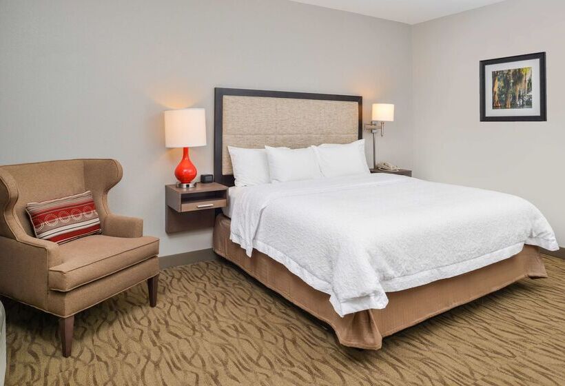 ホテル Hampton Inn Gonzales