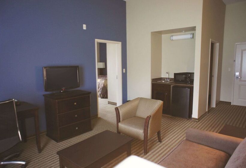 Hotel La Quinta Inn & Suites By Wyndham Broussard  Lafayette Area