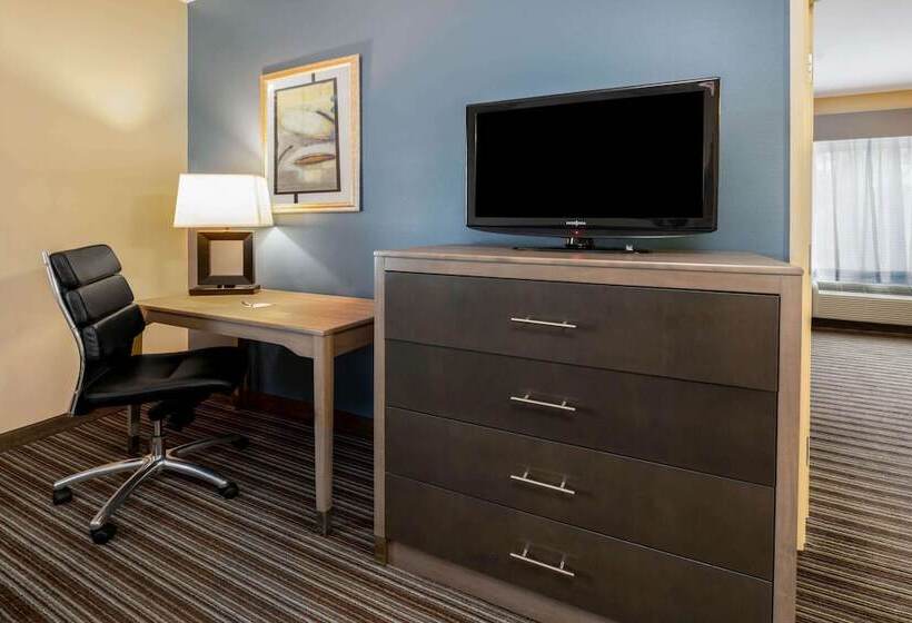 Hotel La Quinta Inn & Suites By Wyndham Broussard  Lafayette Area