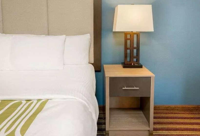 ホテル La Quinta Inn & Suites By Wyndham Broussard Lafayette Area