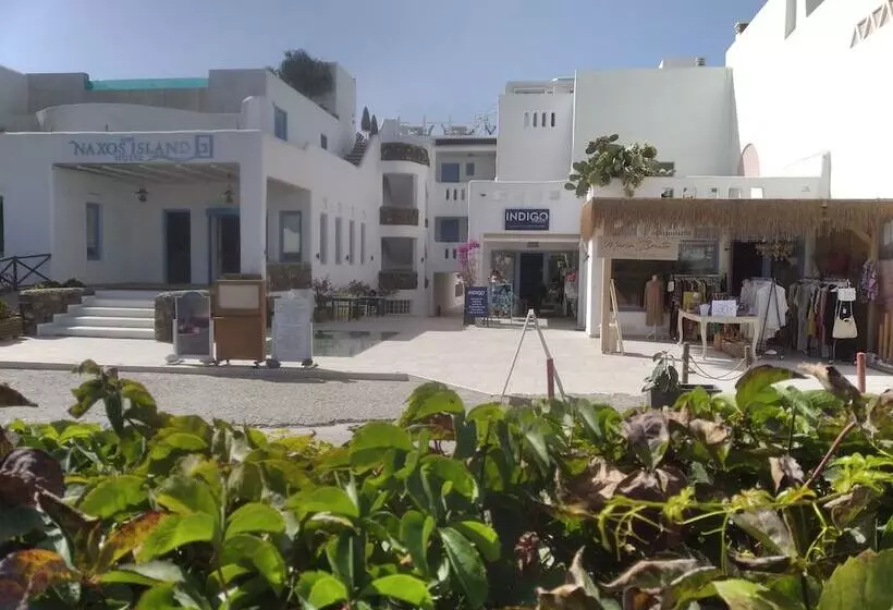 酒店 Naxos Island