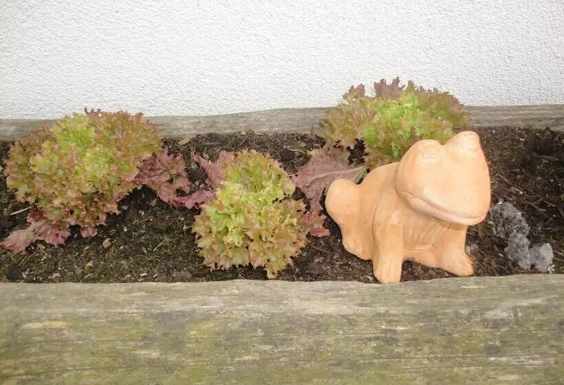 ホテル Pension Traube