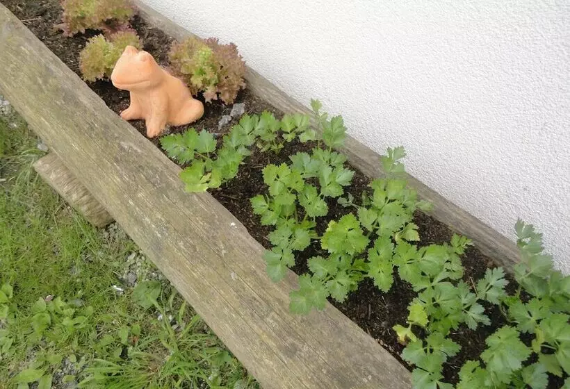 ホテル Pension Traube