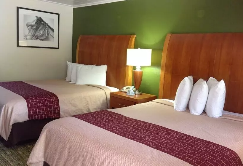 酒店 Pilgrim Inn & Cottages