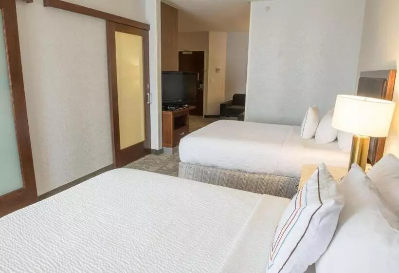 Springhill Suites By Marriott Logan