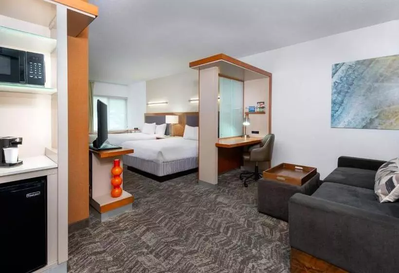 Springhill Suites Tallahassee Central