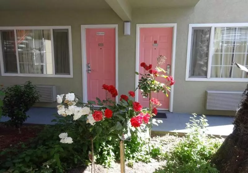 The Flamingo Motel