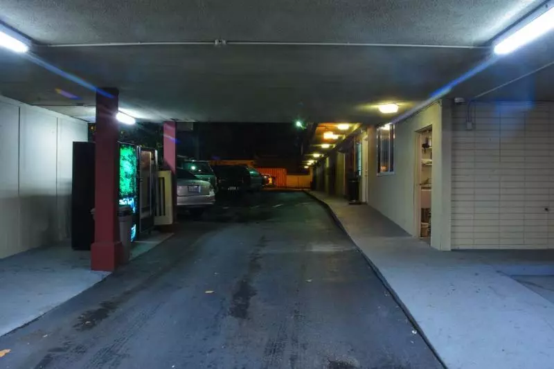 The Flamingo Motel