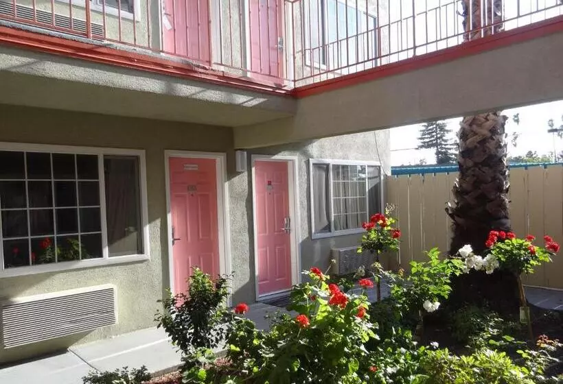 The Flamingo Motel