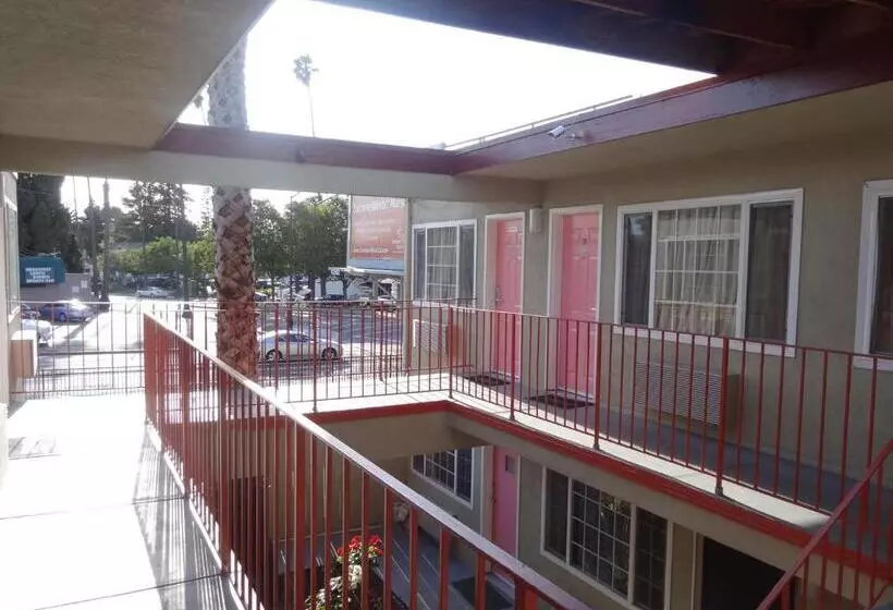 The Flamingo Motel