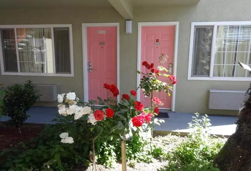 The Flamingo Motel