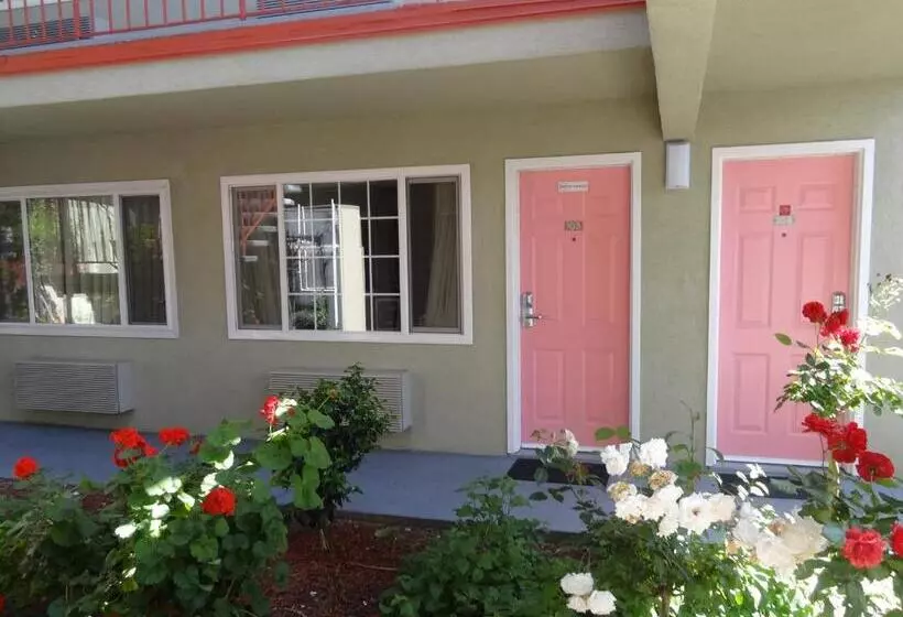 The Flamingo Motel