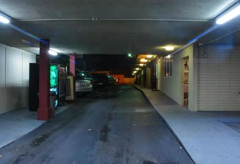 The Flamingo Motel