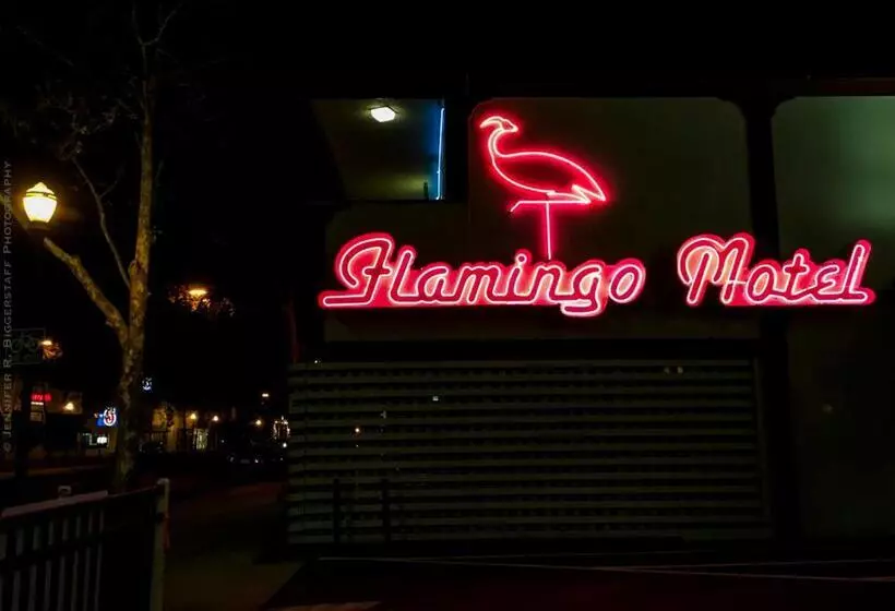 The Flamingo Motel