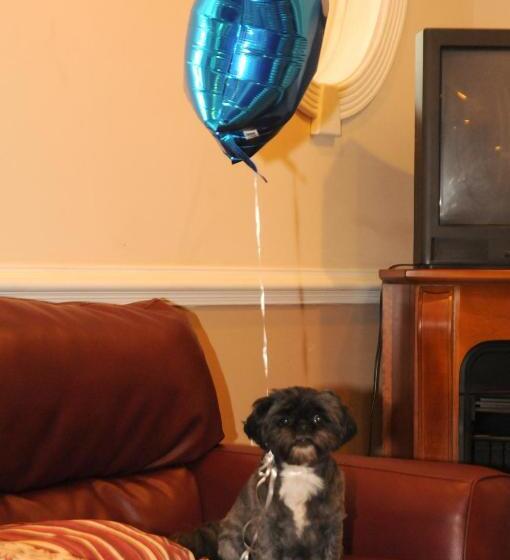 酒店 Acorn Hill Lodge And Spa