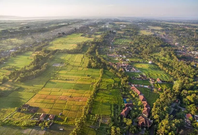 Bhuwana Ubud Hotel And Farming