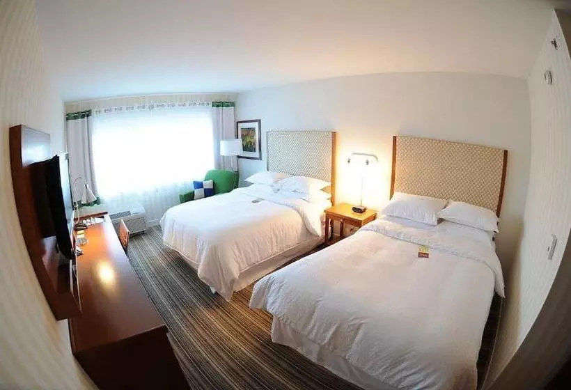 酒店 Holiday Inn Express Columbus Airport Easton