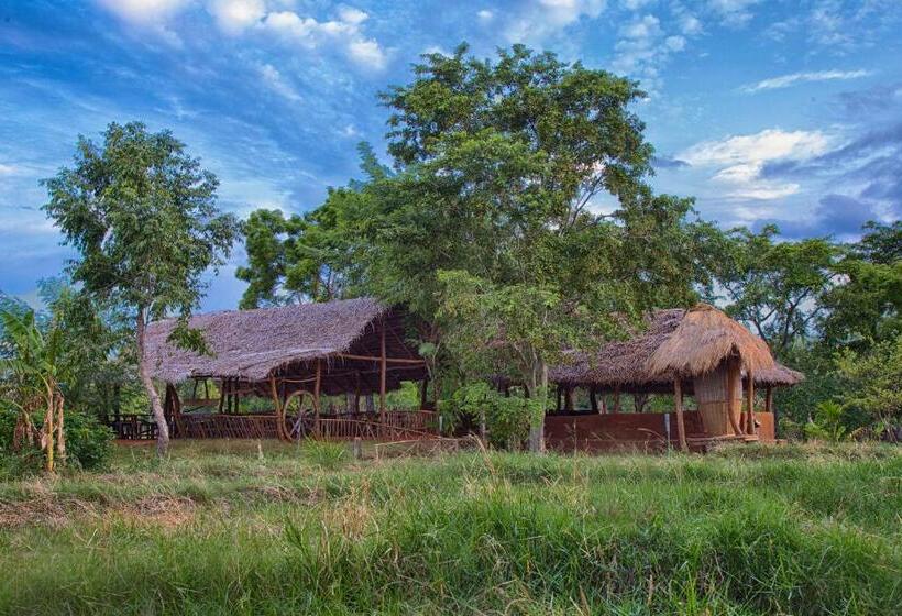 فندق Kassapa Lions Rock