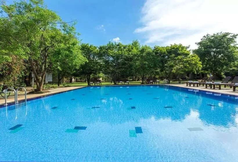 호텔 Kassapa Lions Rock