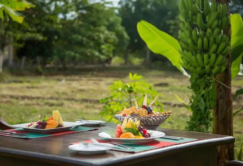 호텔 Kassapa Lions Rock