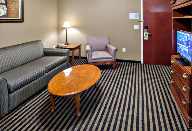 فندق Mountain Inn & Suites Flat Rock