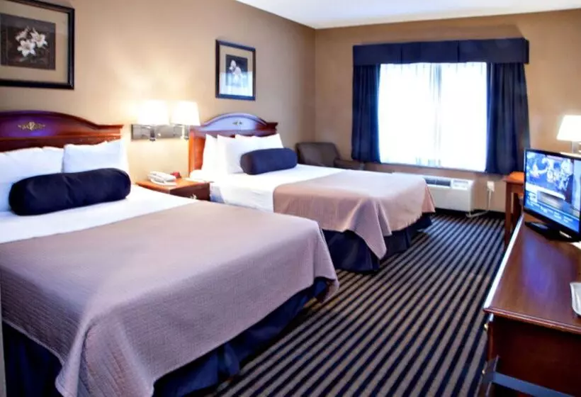 ホテル Mountain Inn & Suites Flat Rock