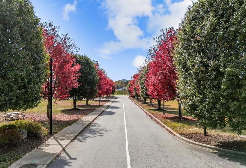 فندق Mountain Inn & Suites Flat Rock