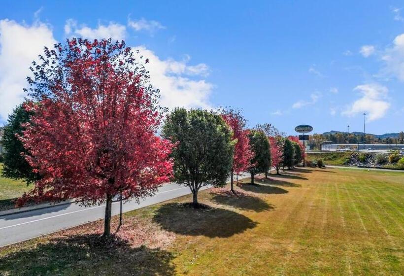 فندق Mountain Inn & Suites Flat Rock