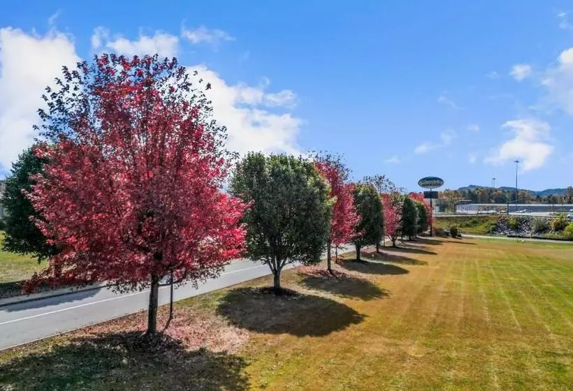 ホテル Mountain Inn & Suites Flat Rock